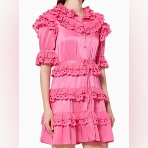CeliaB Pink Cherry Ruffle Dress in Size Small